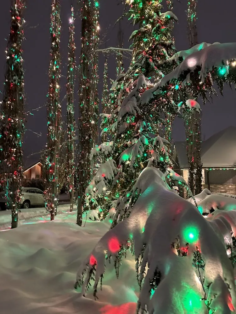 Top-rated yard maintenance for homes in Orem, UT by Estate Landscape