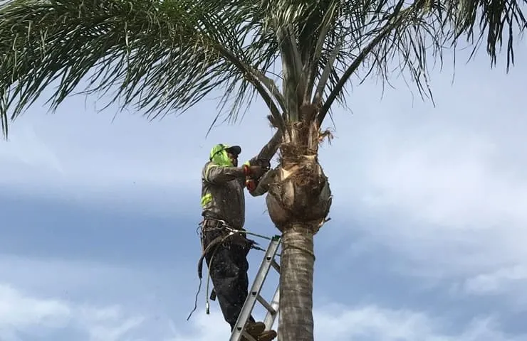 Local garden landscaping experts serving Fort Myers, FL - Estate Landscaping & Lawn Management