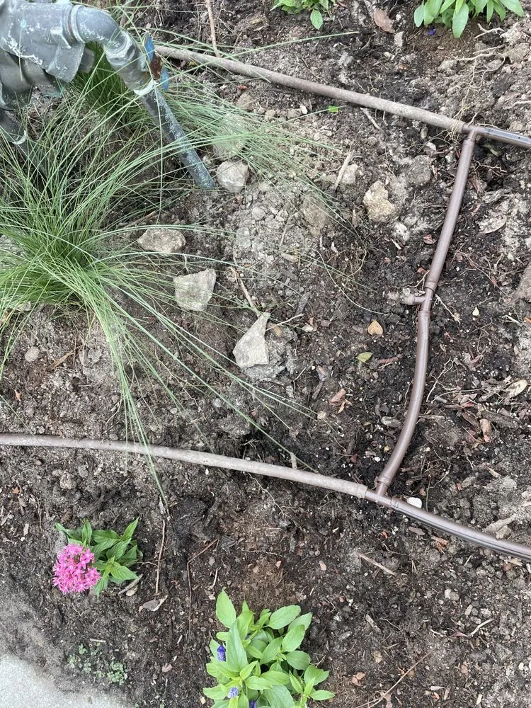 Professional residential landscaping in Fort Myers, FL - Estate Landscaping & Lawn Management