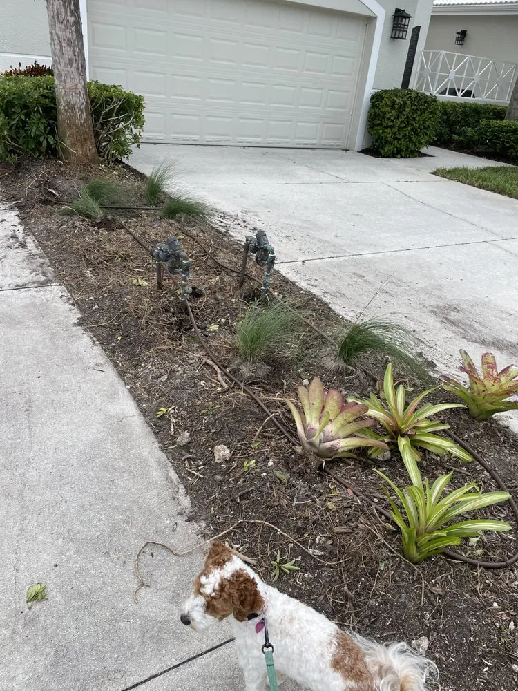 Local outdoor landscaping near you in Fort Myers, FL by Estate Landscaping & Lawn Management