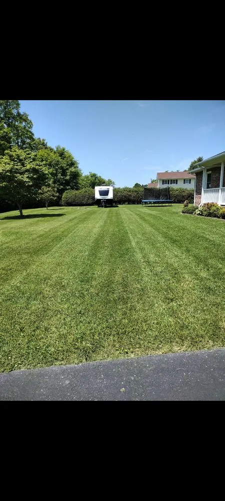 Expert lawn care service experts serving Princeton, WV - Estate Lawn Maintenance
