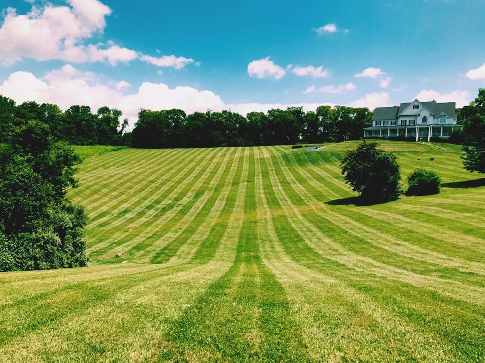 Professional yard cleanup service for homes across Bluemont, VA - Estate Lawn Services