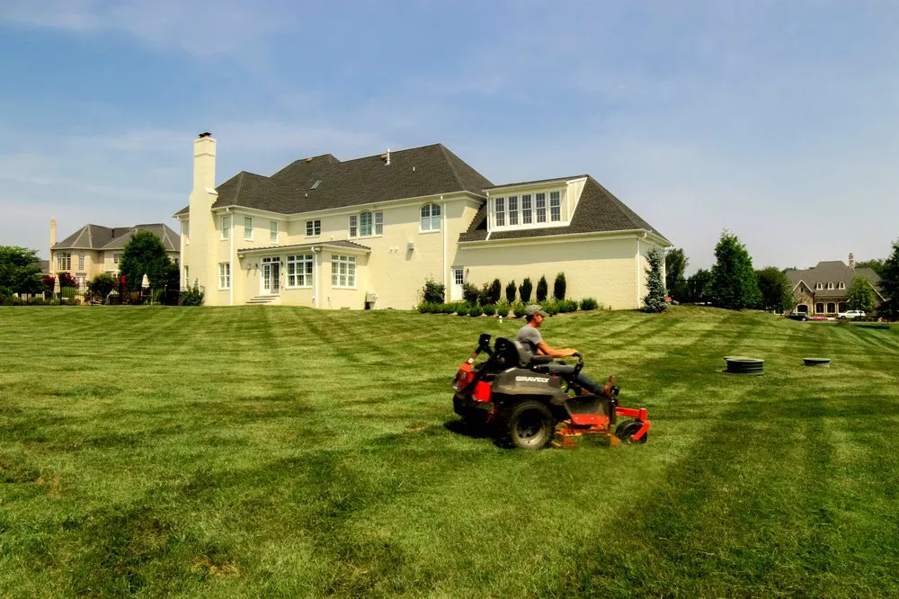 Professional yard cleanup service in Bluemont, VA by Estate Lawn Services