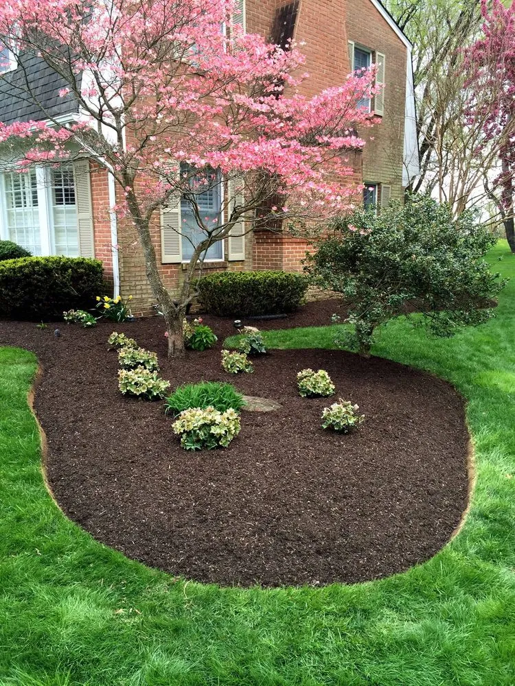 Expert lawn care service experts serving Bluemont, VA - Estate Lawn Services