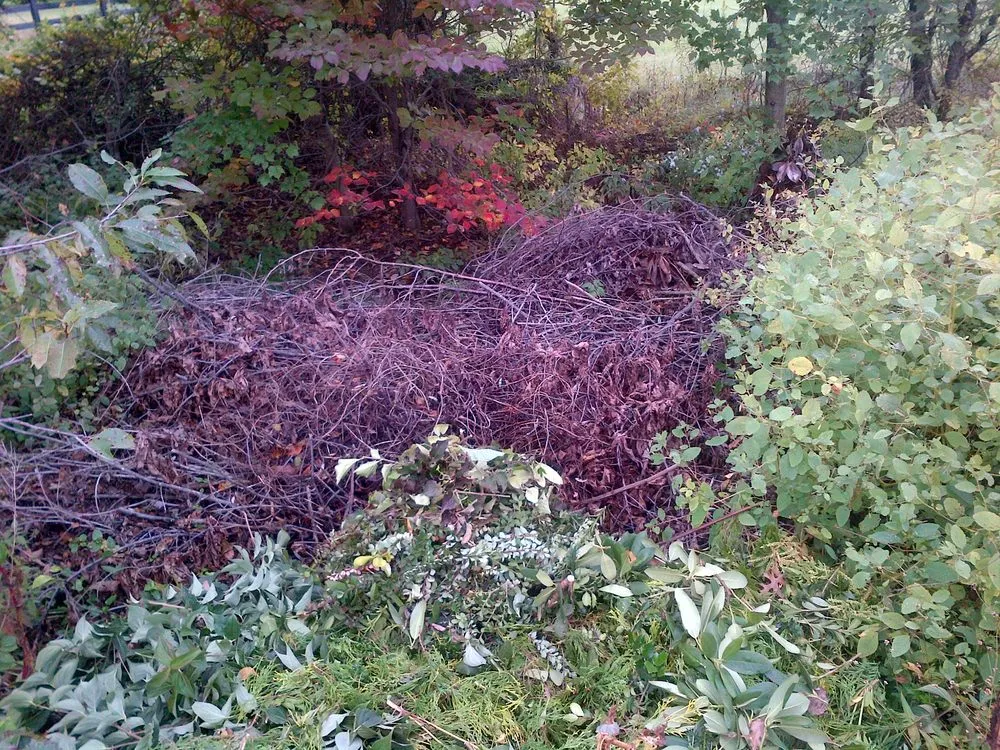 Trusted landscape installation experts serving Bluemont, VA - Estate Lawn Services