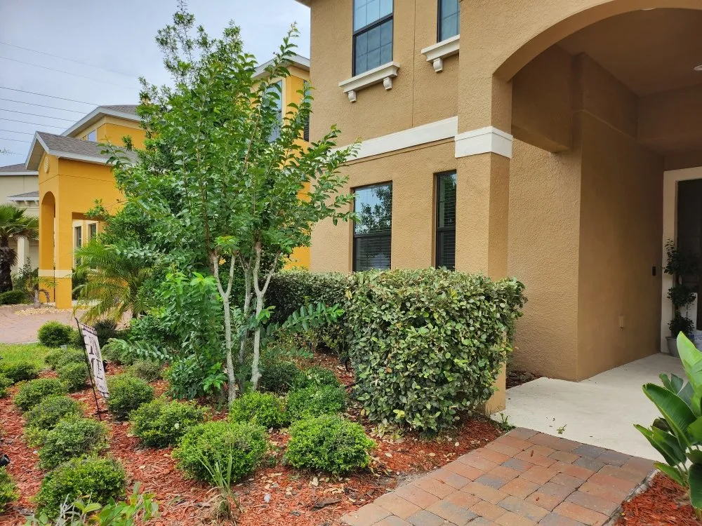 Professional landscape design for residential properties across Lakeland, FL - Estate Scape