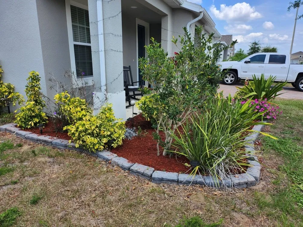 Trusted yard maintenance in Lakeland, FL - Estate Scape