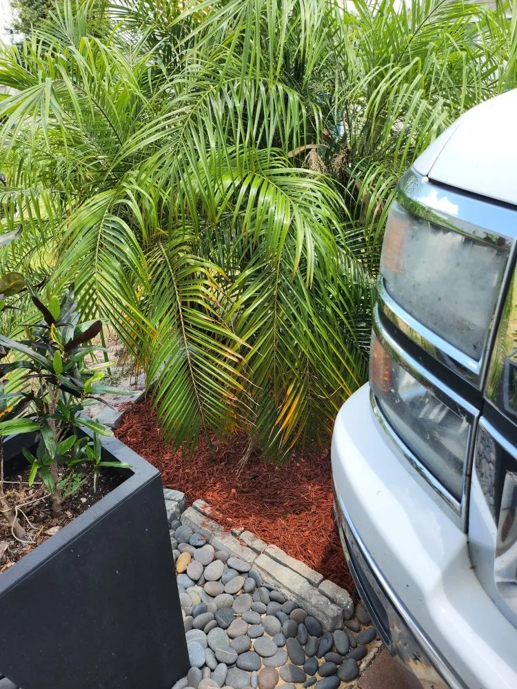 Trusted landscaping services experts serving Lakeland, FL - Estate Scape