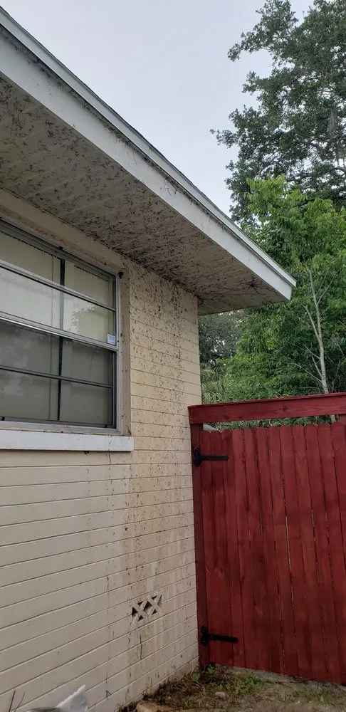 Top-rated landscape installation in Daytona Beach, FL - Estate Services