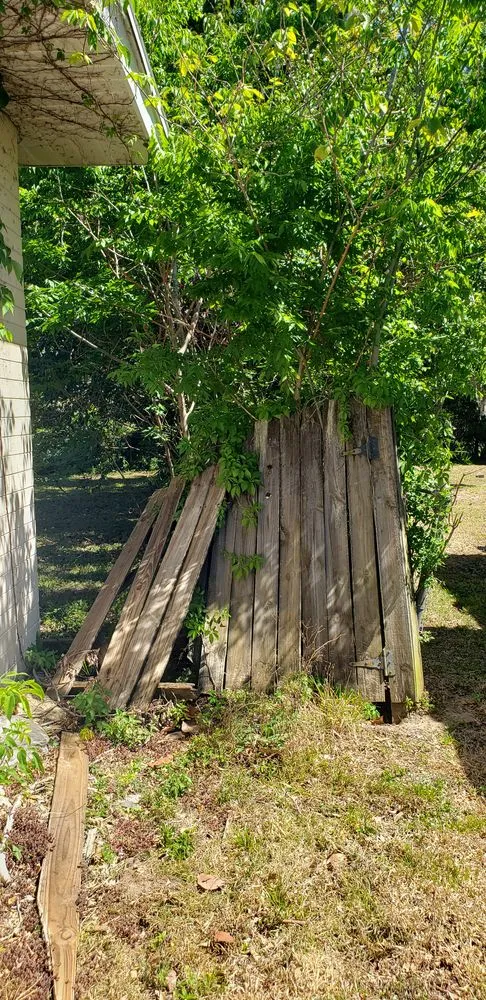 Expert residential landscaping in Daytona Beach, FL by Estate Services