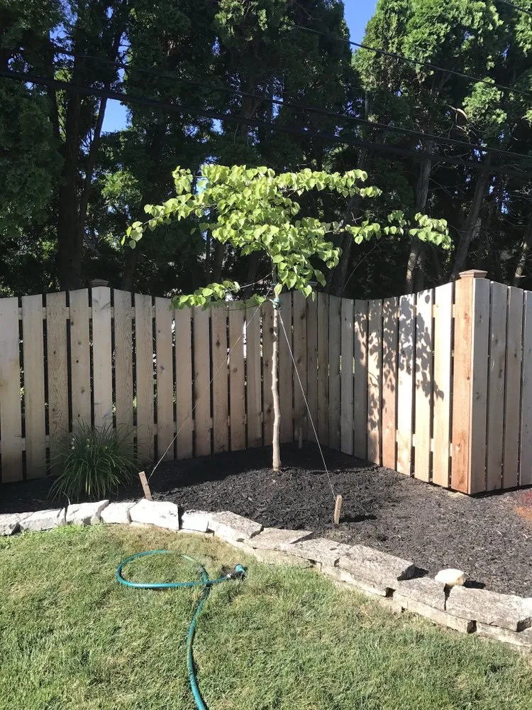 Top-rated outdoor landscaping for beautiful yards across Hilliard, OH - Estatescapes