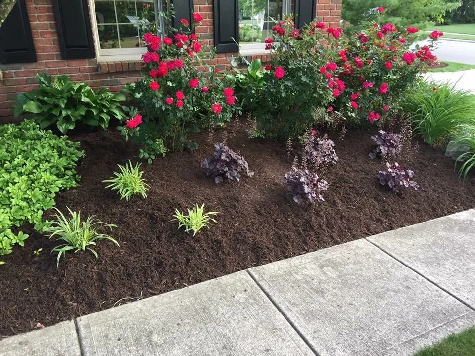 Trusted lawn mowing service in Hilliard, OH by Estatescapes