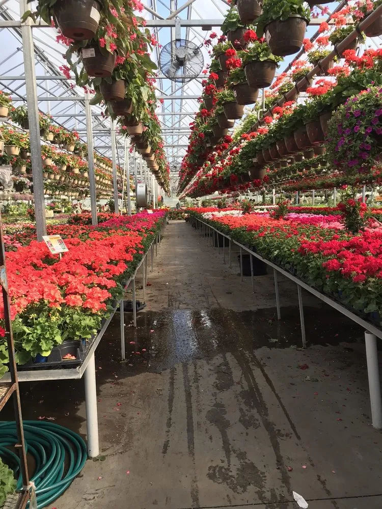 Reliable landscape installation for outdoor upgrades in Hilliard, OH by Estatescapes