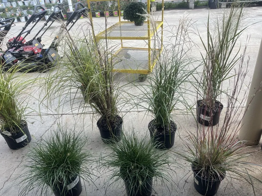 Reliable yard maintenance in Hilliard, OH by Estatescapes