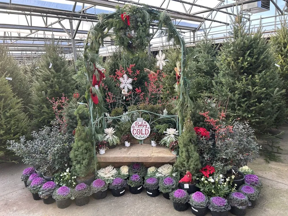 Trusted yard cleanup service for outdoor upgrades across Hilliard, OH - Estatescapes