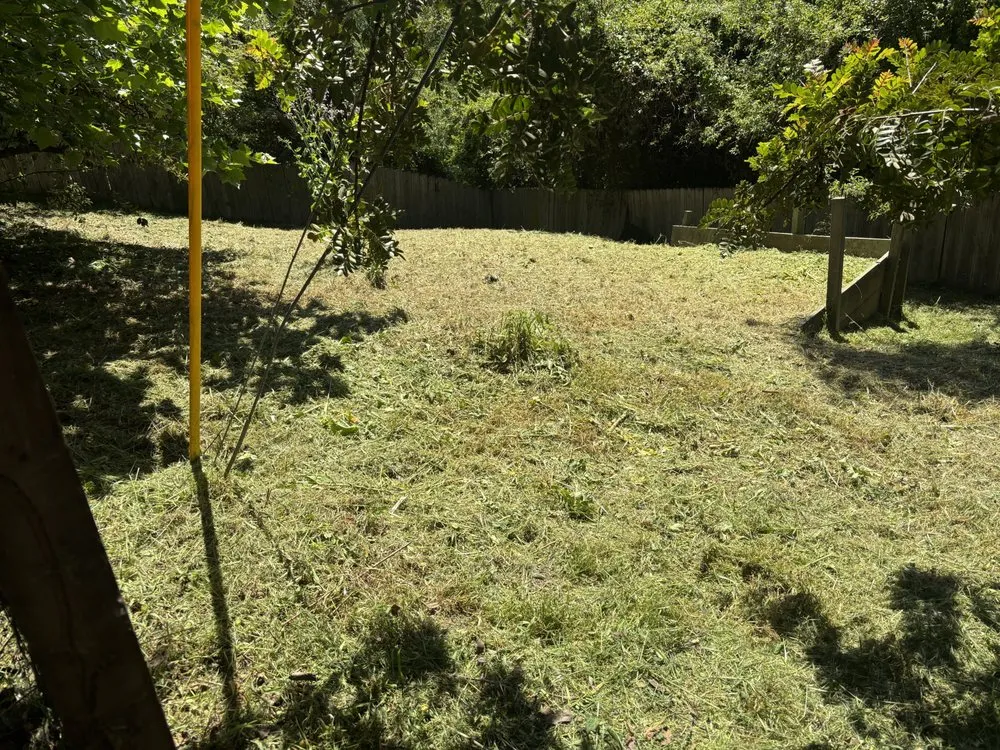 Top-rated yard maintenance in Santa Cruz, CA - Esteban Gonzalez