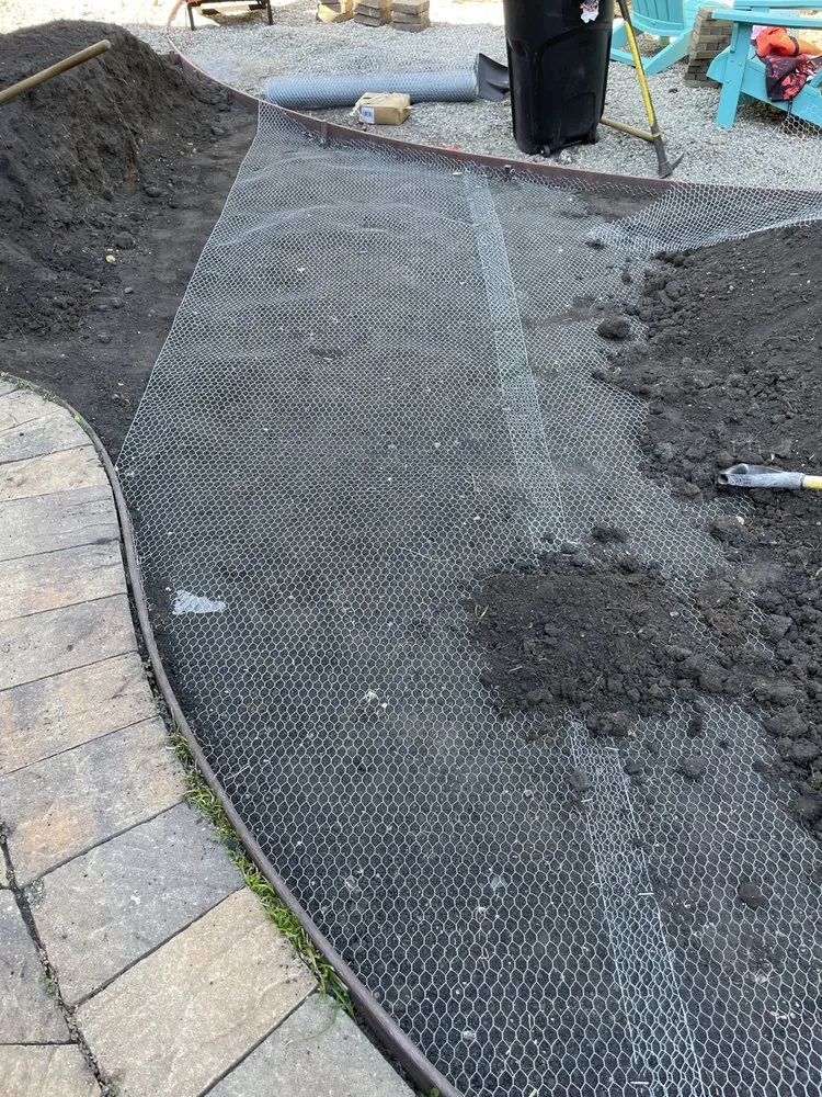 Top-rated yard cleanup service near you across Santa Cruz, CA - Esteban Gonzalez