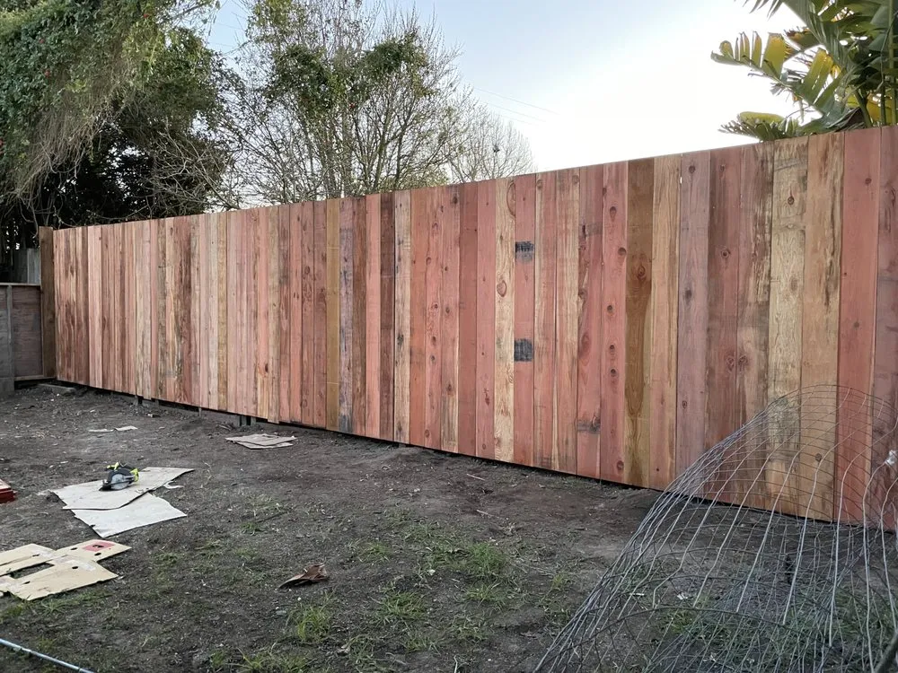 Professional yard cleanup service experts serving Santa Cruz, CA - Esteban Gonzalez