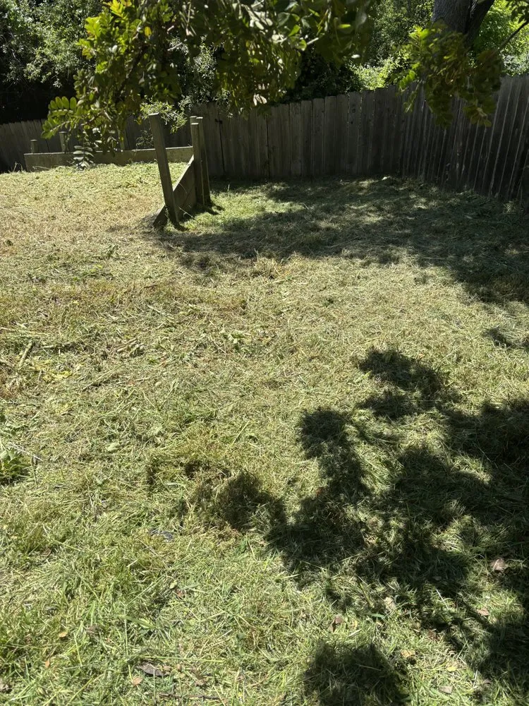 Reliable residential landscaping for beautiful yards in Santa Cruz, CA by Esteban Gonzalez