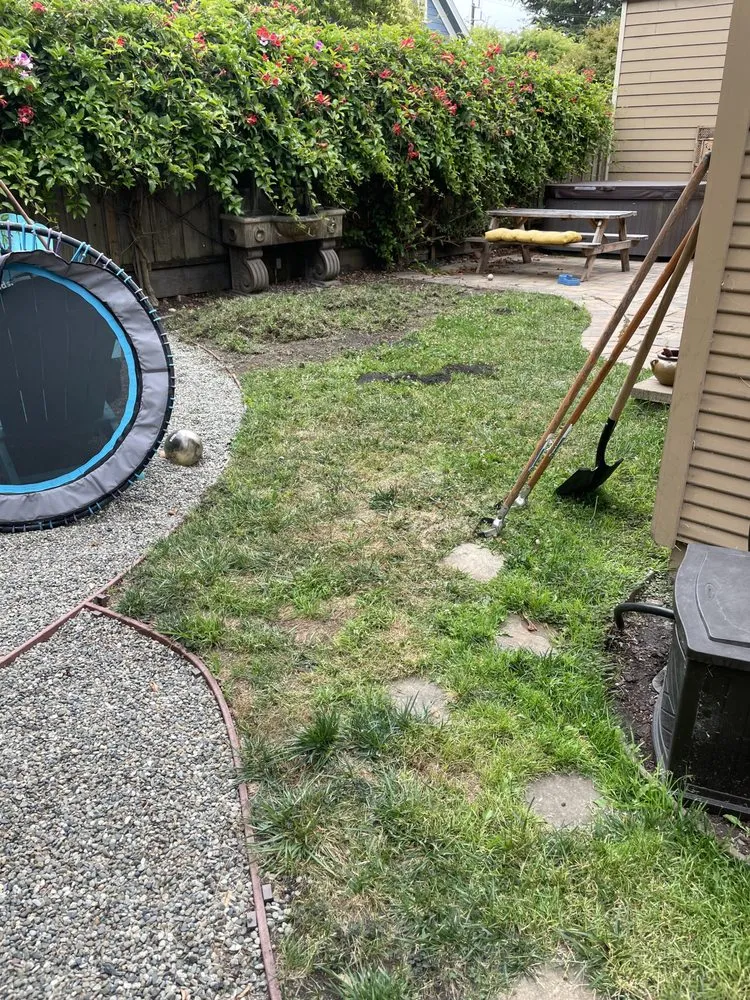 Professional lawn mowing service in Santa Cruz, CA - Esteban Gonzalez