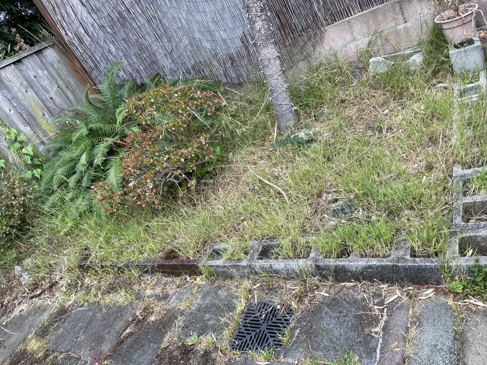 Professional residential landscaping in Santa Cruz, CA by Esteban Gonzalez