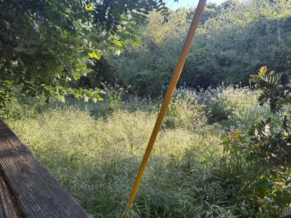 Expert yard maintenance near you across Santa Cruz, CA - Esteban Gonzalez