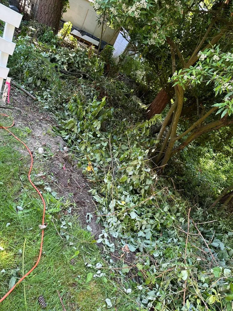 Affordable lawn care service experts serving Seattle, WA - Esteban Landscaping