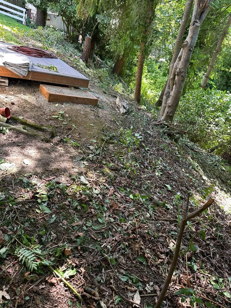 Top-rated lawn care service experts serving Seattle, WA - Esteban Landscaping