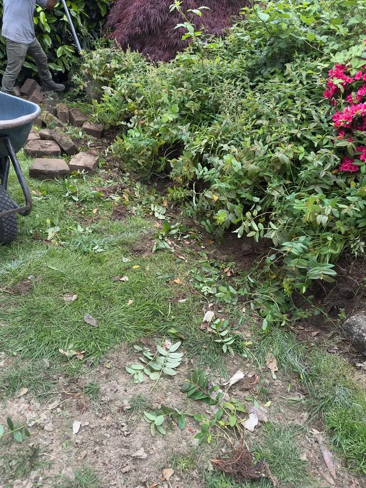 Expert yard cleanup service in Seattle, WA - Esteban Landscaping