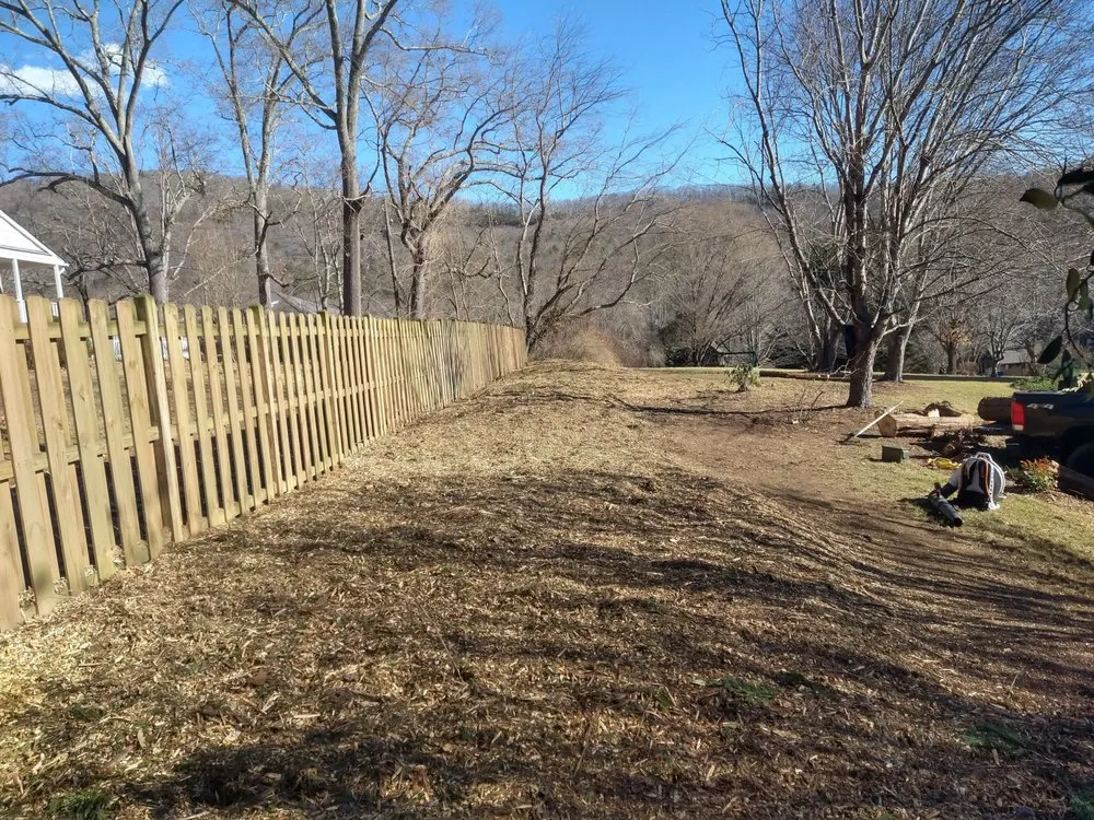 Reliable lawn care service for year-round maintenance across Candler, NC - Esteban Landscaping Service