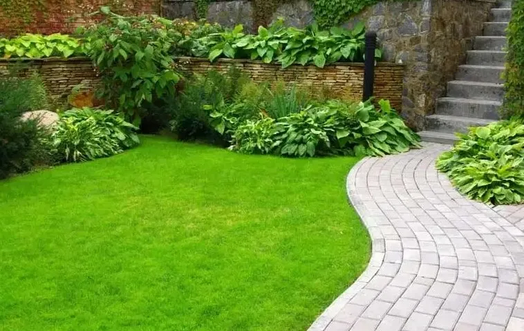 Local landscaping services in Wimberley, TX by Esteban Lopez Rock Work & Masonry Landscaping