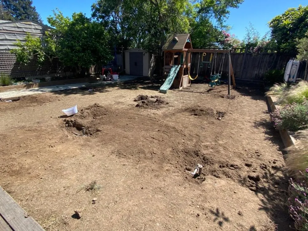 Custom lawn care service in Oakland, CA - Esteban Mendoza Landscaping