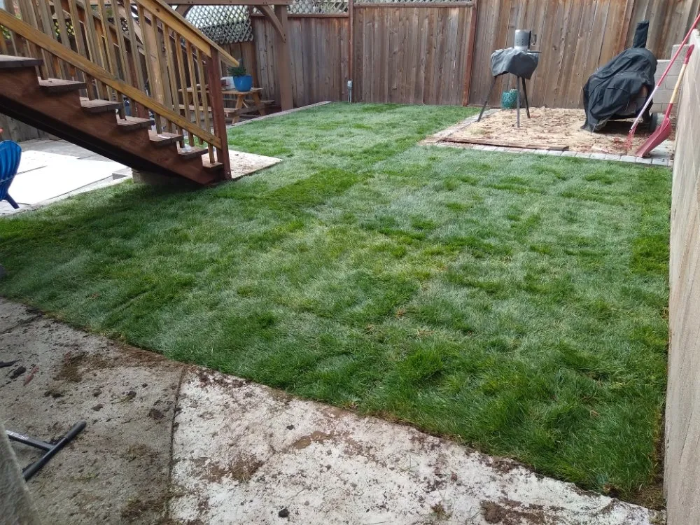 Top-rated garden landscaping in Oakland, CA - Esteban Mendoza Landscaping