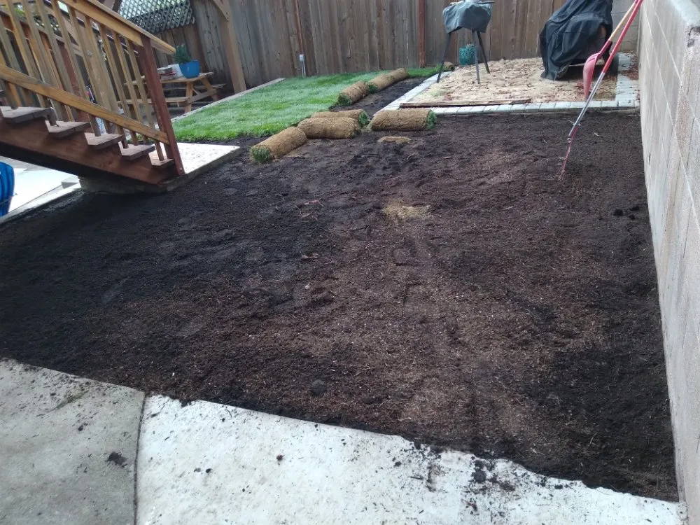 Reliable outdoor landscaping for year-round maintenance in Oakland, CA by Esteban Mendoza Landscaping