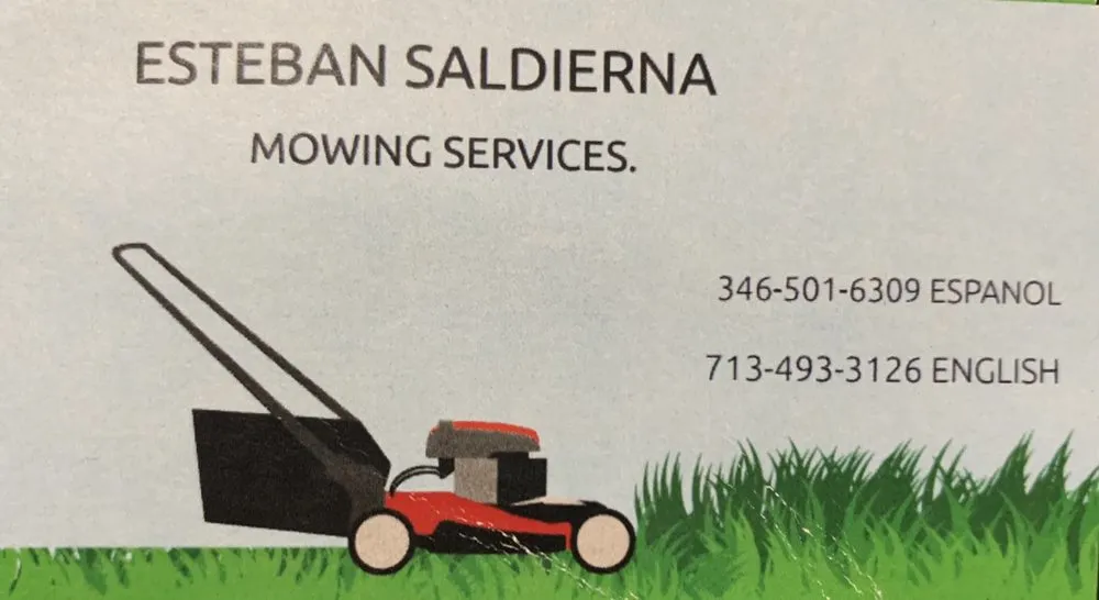 Trusted landscape design for outdoor upgrades across Pasadena, TX - Esteban Saldierna Mowing Services