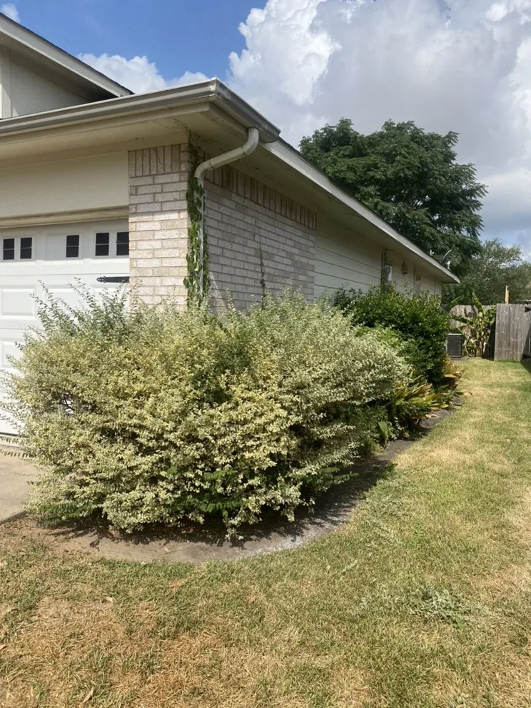 Local landscape design for homes in Pasadena, TX by Esteban Saldierna Mowing Services