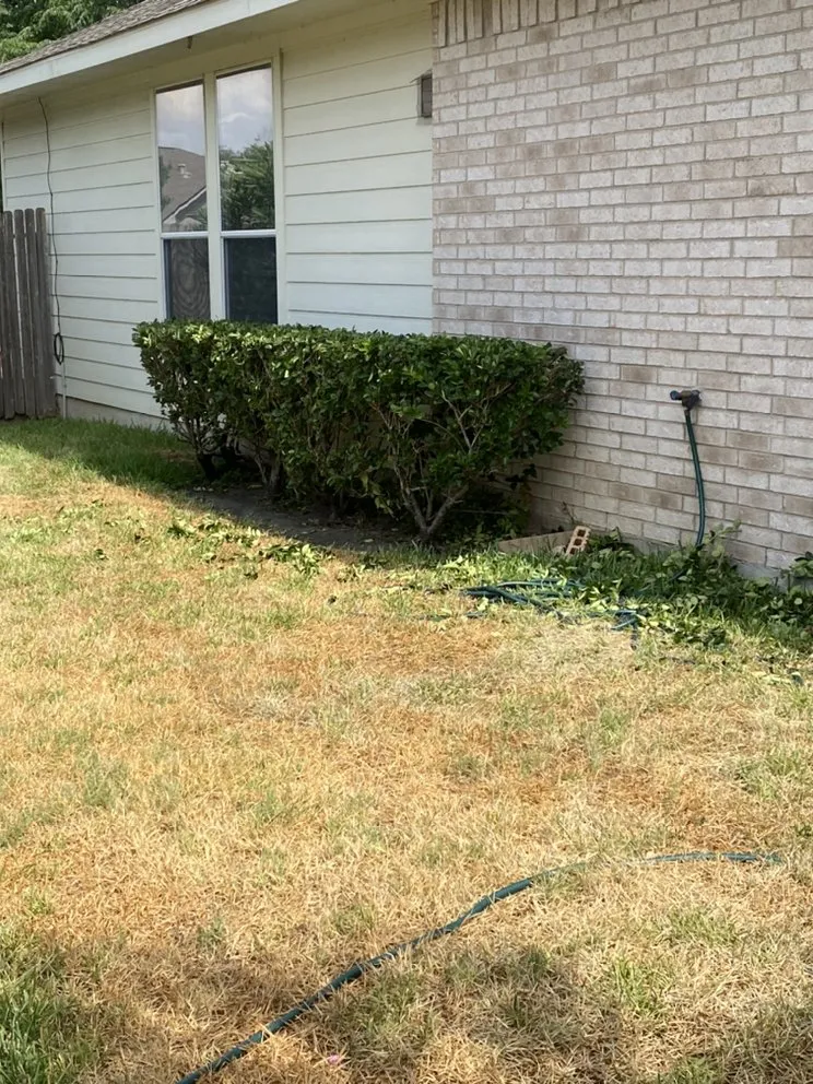 Professional landscape installation in Pasadena, TX - Esteban Saldierna Mowing Services