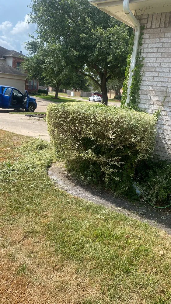 Local landscape design in Pasadena, TX - Esteban Saldierna Mowing Services