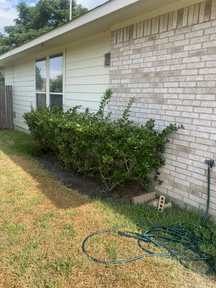 Expert yard cleanup service experts serving Pasadena, TX - Esteban Saldierna Mowing Services