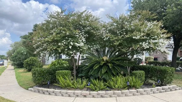 Esteban Saldierna Mowing Services Logo