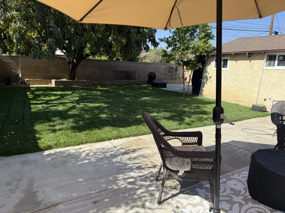 Top-rated yard cleanup service with custom design in Riverside, CA by Esteban Tree Service and Landscaping