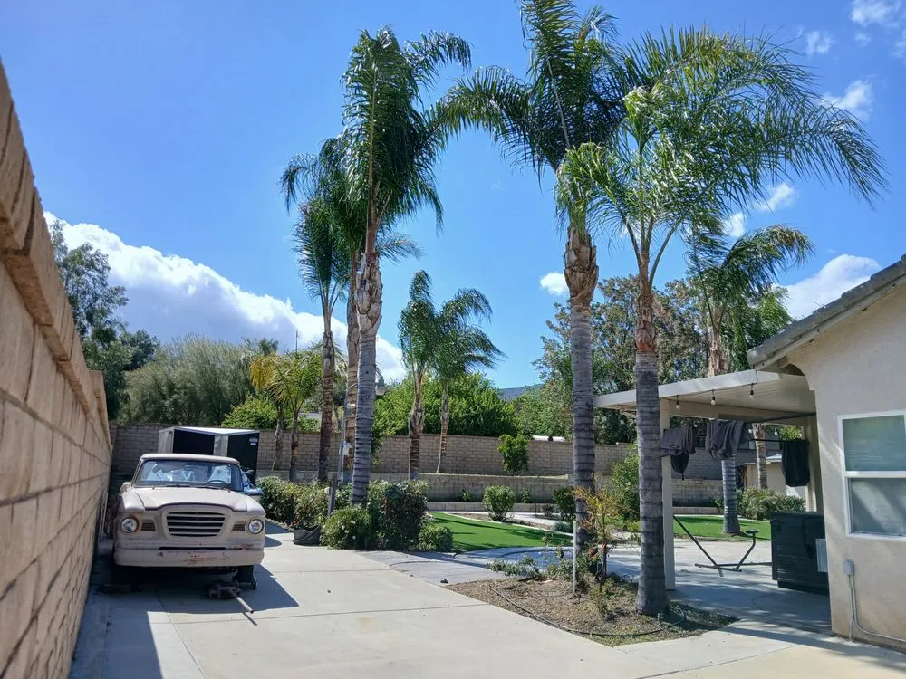 Affordable landscape installation with custom design in Riverside, CA by Esteban Tree Service and Landscaping