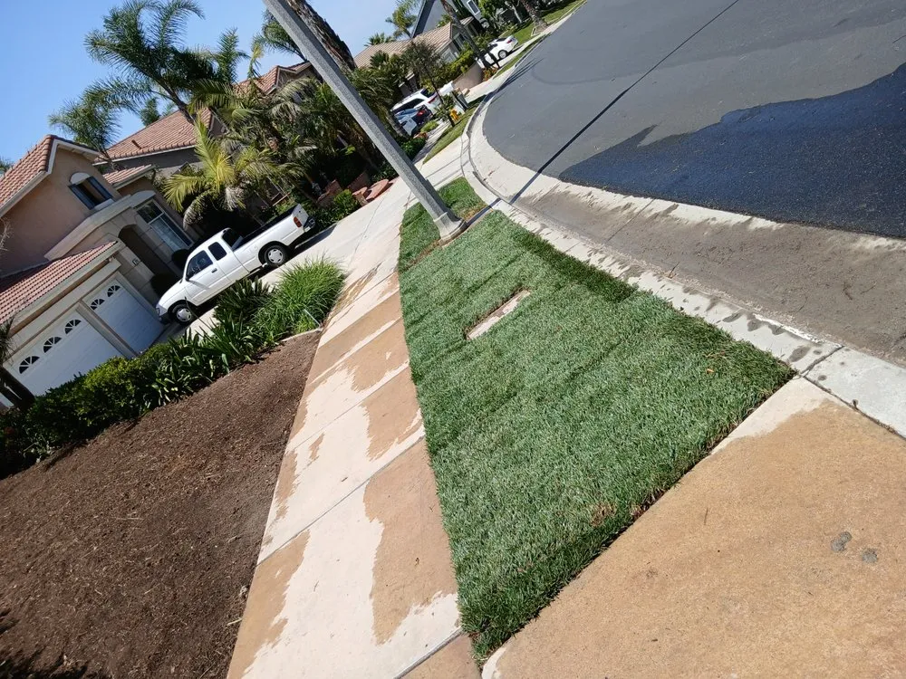 Affordable yard cleanup service for residential properties in Riverside, CA by Esteban Tree Service and Landscaping
