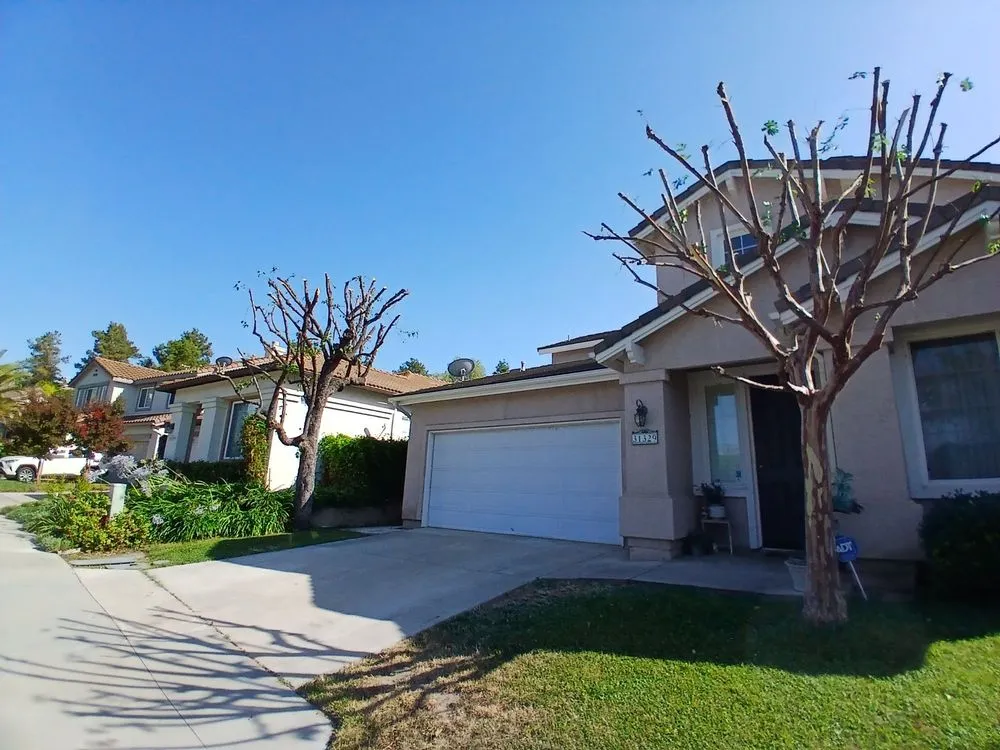 Trusted yard cleanup service for residential properties in Riverside, CA by Esteban Tree Service and Landscaping