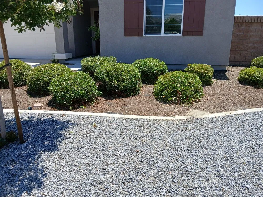 Reliable lawn care service in Riverside, CA - Esteban Tree Service and Landscaping