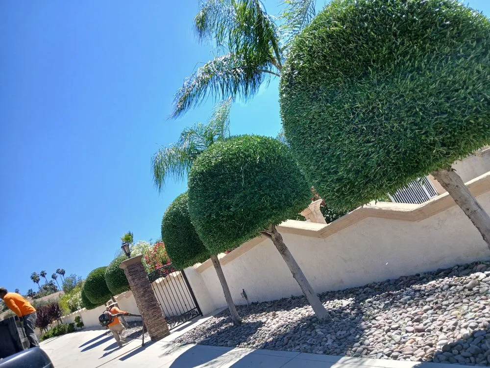 Professional lawn care service in Riverside, CA - Esteban Tree Service and Landscaping