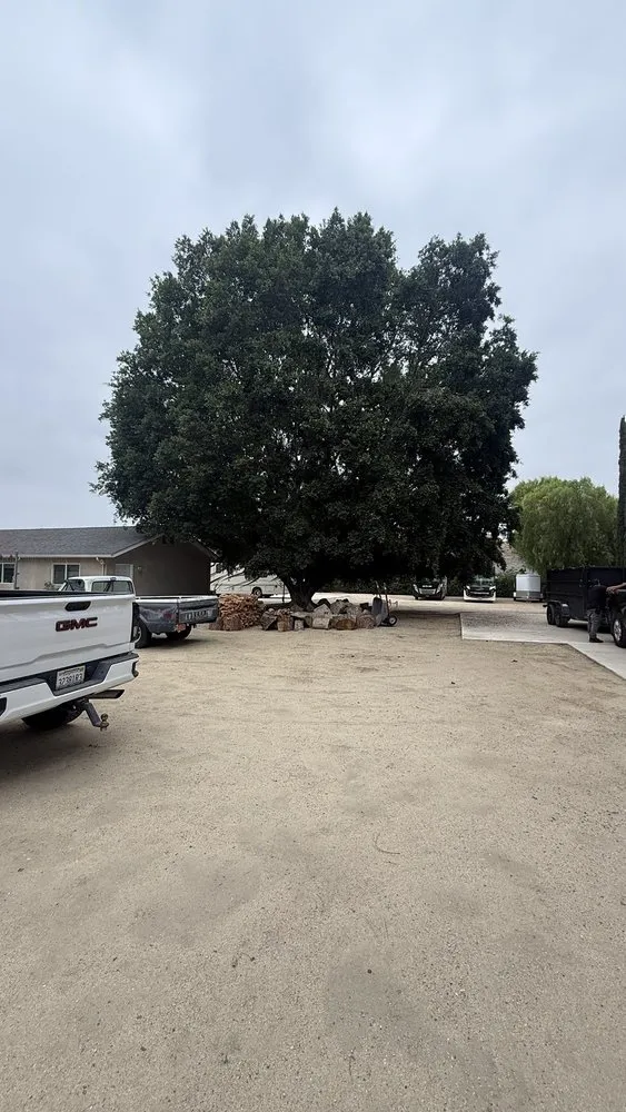 Affordable lawn care service for homes in Riverside, CA by Esteban Tree Service and Landscaping