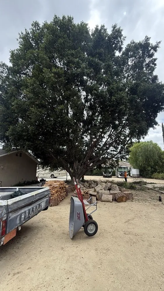 Top-rated garden landscaping in Riverside, CA - Esteban Tree Service and Landscaping