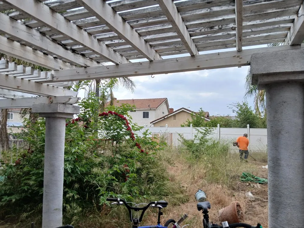 Local yard cleanup service in Riverside, CA by Esteban Tree Service and Landscaping