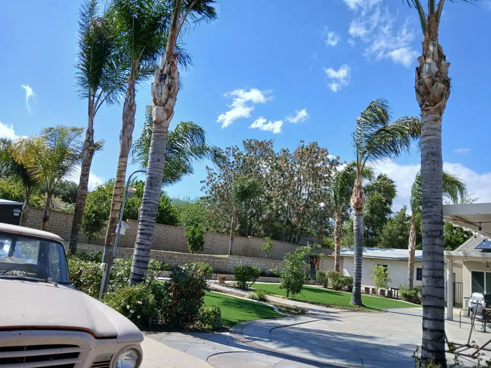 Trusted lawn mowing service in Riverside, CA by Esteban Tree Service and Landscaping